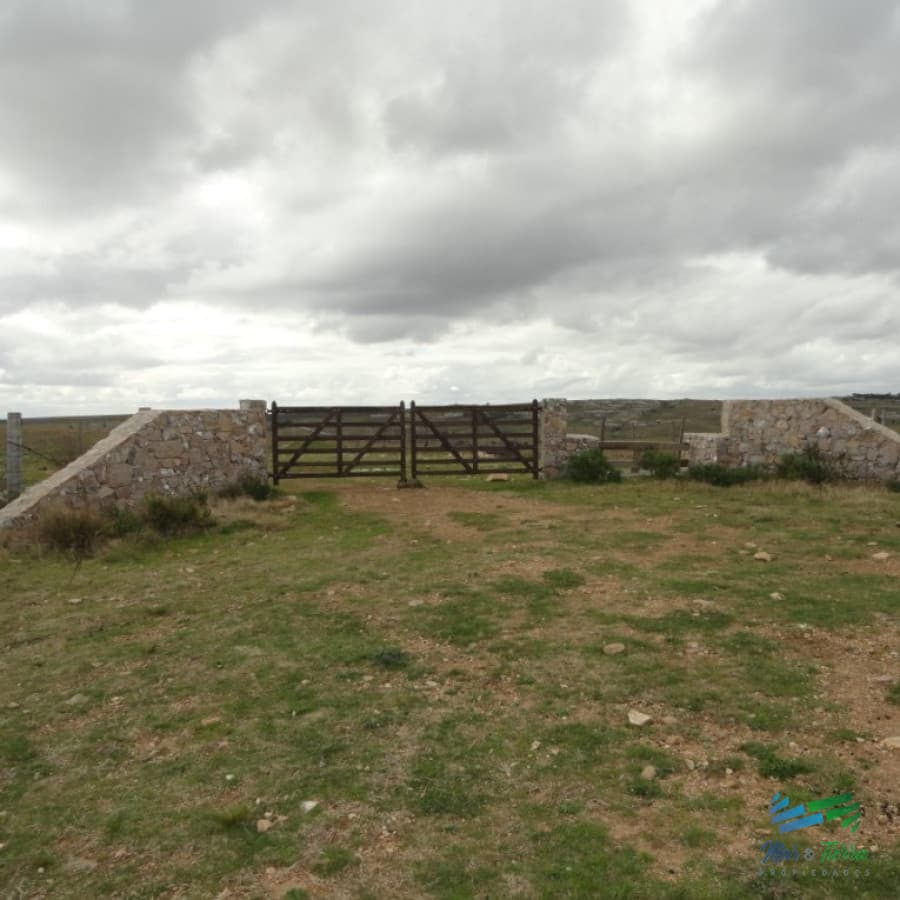 BAJO DE PRECIO...Campo sobre R.12 y a menos de 1 hora de Punta. Suelos 2.12, buenas vistas y gran potencial turístico !