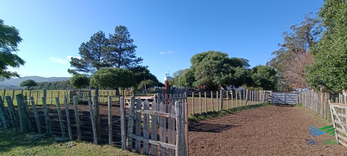 Muy buen campo mixto Ganadero-Forestal de 690 Has y bien ubicado