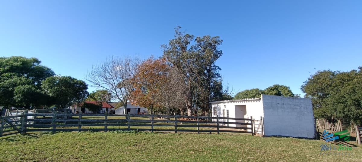 Muy buen campo mixto Ganadero-Forestal de 690 Has y bien ubicado