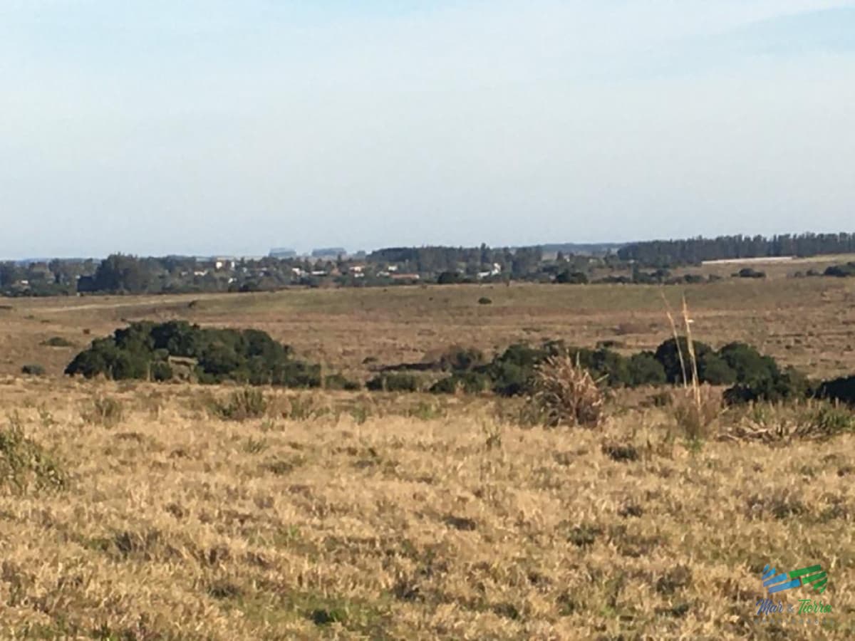 Garzón 260 Has buen campo ganadero, ideal para fraccionamiento