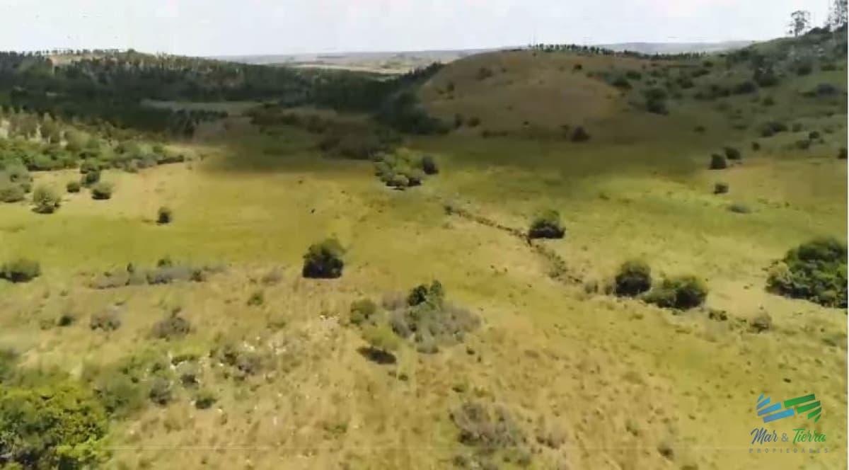 Campo Ganadero y Recreo en Garzón 116 Has con casa
