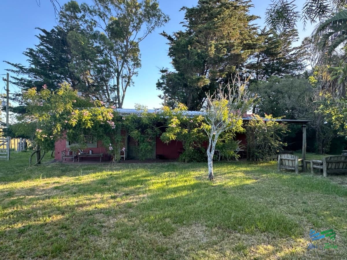 Precioso Campito de 80 Has a 15 minutos del mar y sobre asfalto, DESESTRESATE !