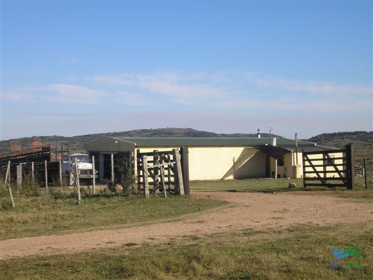 1.600 Has Campo Ganadero criador a buen precio