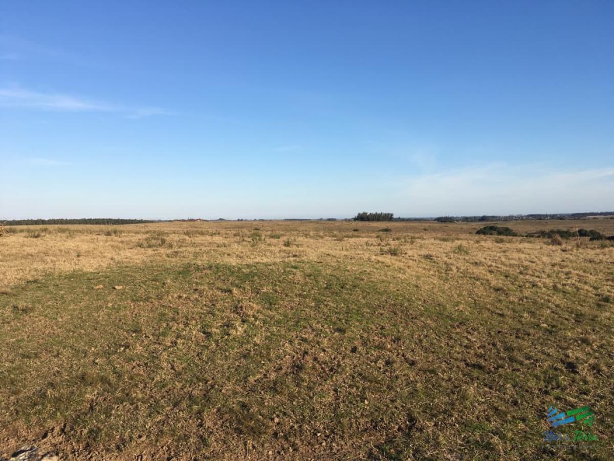 Imperdible Oportunidad Campo con Potencial de Fraccionar en Chacras al lado de Punta.