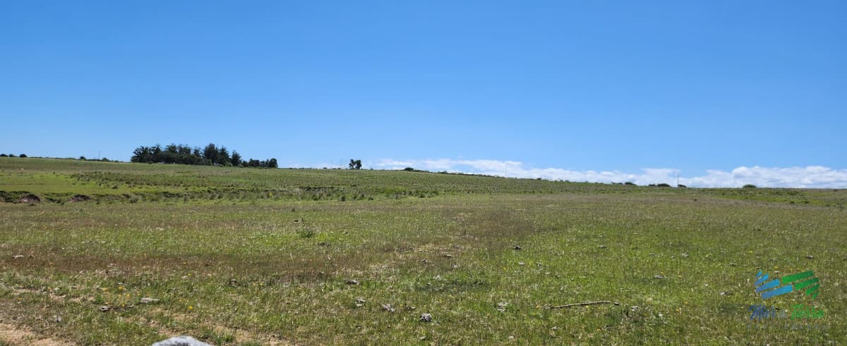 125 Has sobre R.9 muy bien campo Agricola-Ganadero