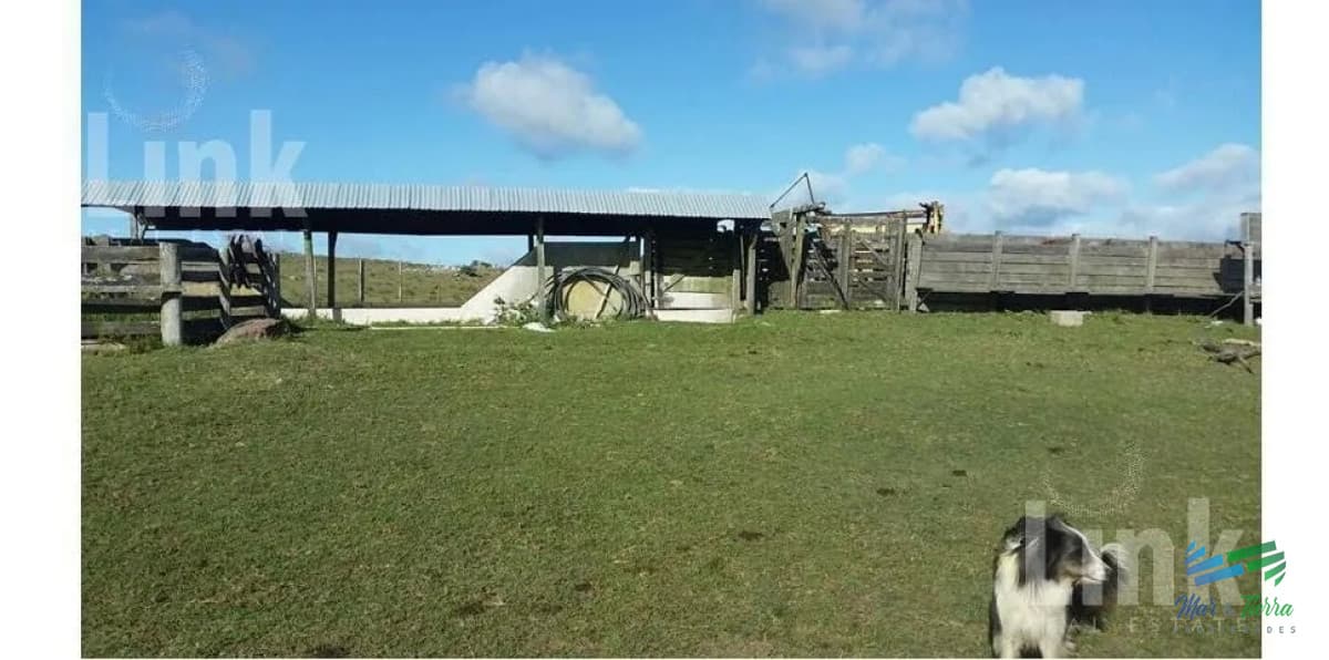 Precio Rebajado - Estancia 3.000 Has en 33 Ganadero-Forestal