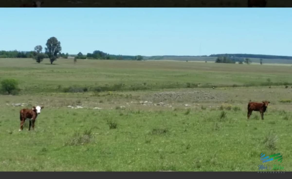 287 Has Ganaderas muy cerca de Ruta 26