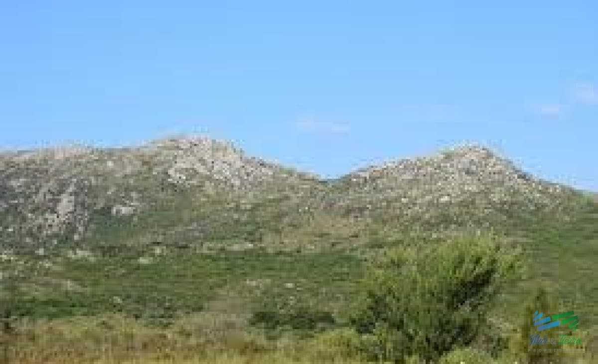 278 Has de Naturaleza Intacta ! A menos de 1 hora de Punta o Mdeo !