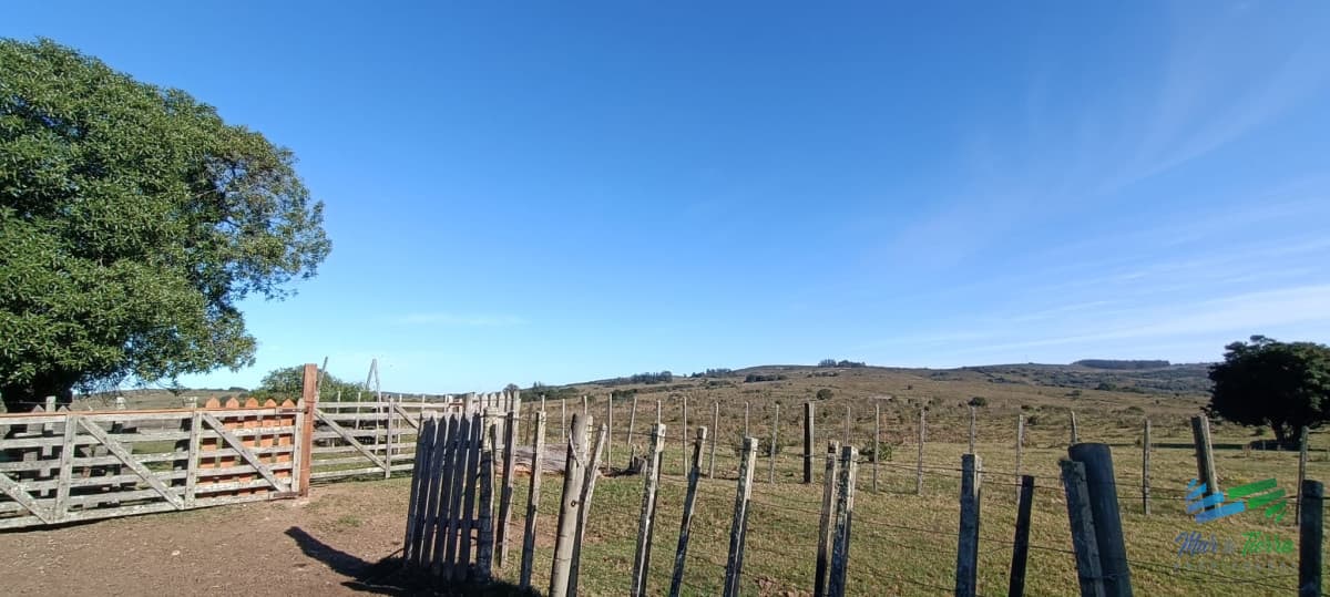 Muy buen campo mixto Ganadero-Forestal de 690 Has y bien ubicado