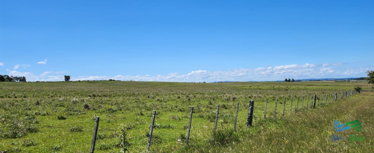 125 Has sobre R.9 muy bien campo Agricola-Ganadero