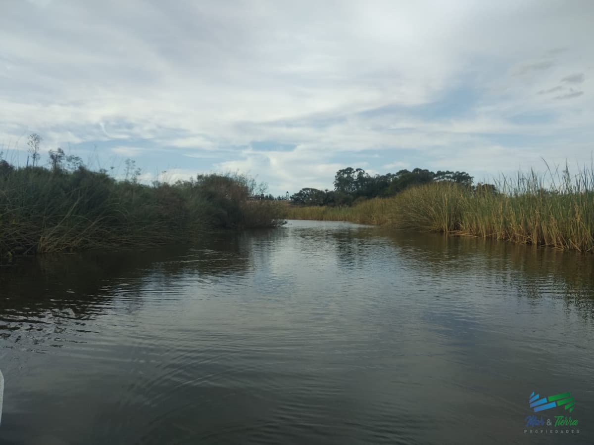 Muy linda fracción de 138 Has en Las Garzas