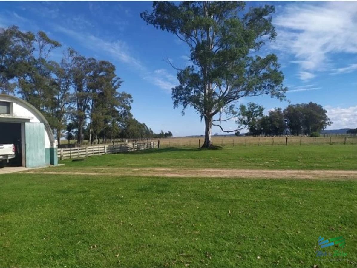 Campo Arrocero-Ganadero 1.636 Has sobre Ruta