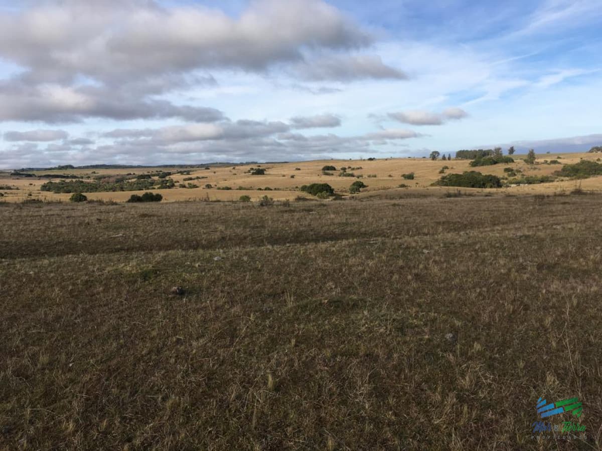 47 Has a 20 minutos Jose Ignacio y 3 kms de R.9
