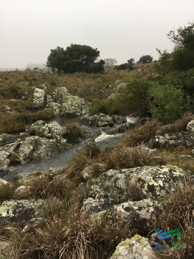 198 Has sobre Ruta 12, Arroyo, Monte Nativo a 15 kms de P. Edén