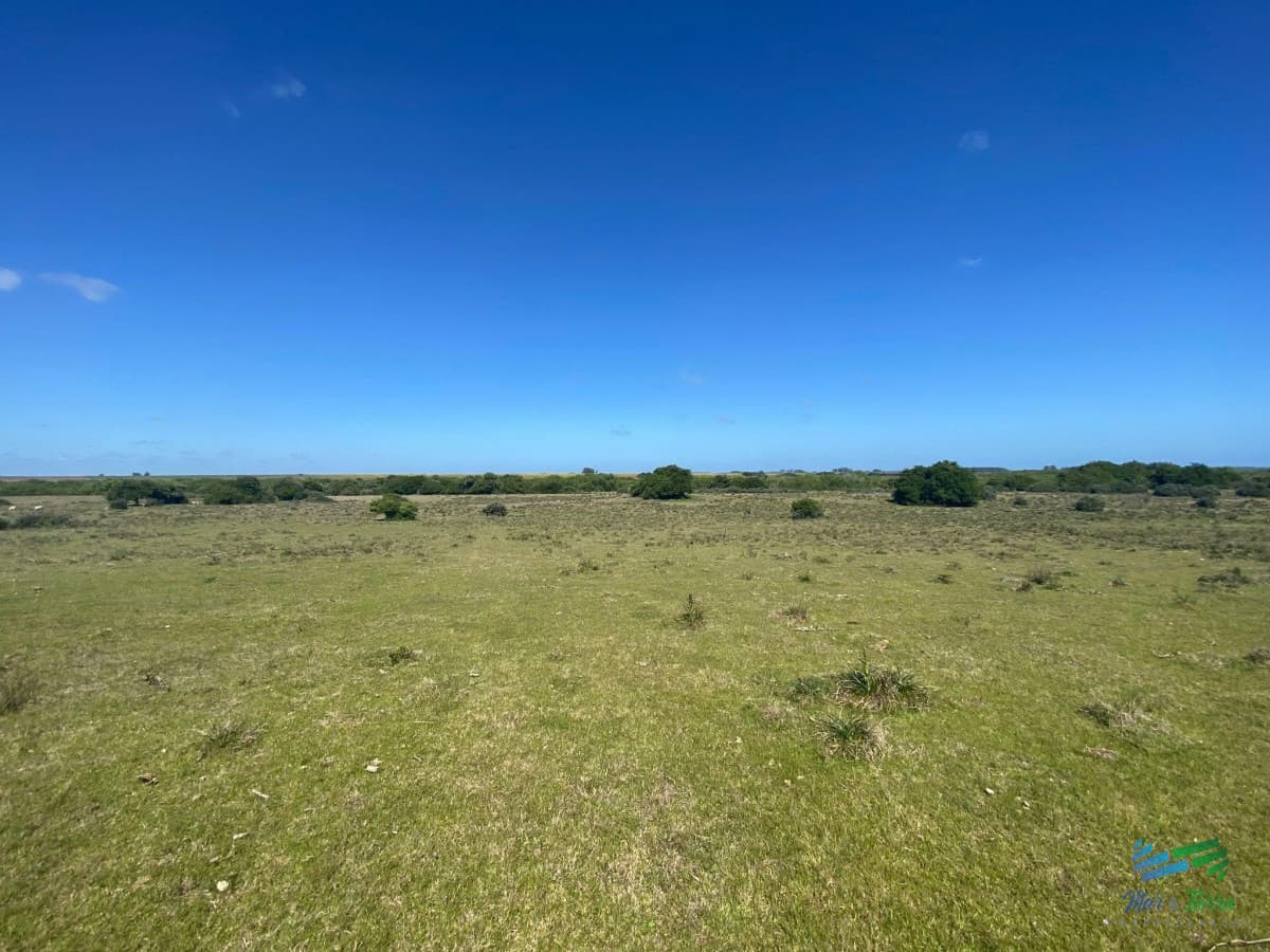 Imperdible Oportunidad Campo con Potencial de Fraccionar en Chacras al lado de Punta.