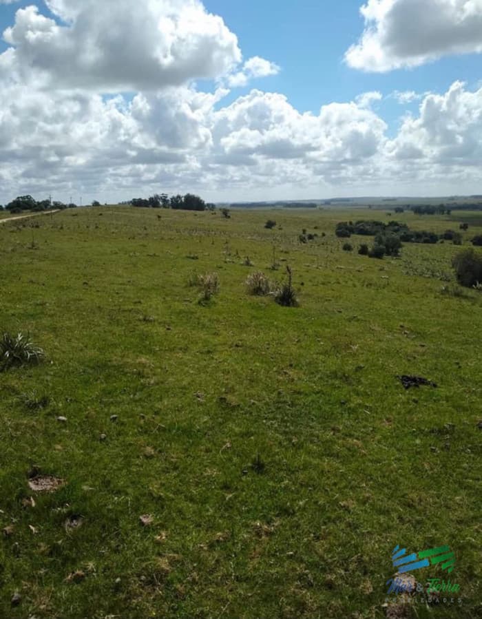 Linda Fraccion de Campo Agricola - Ganadero 177 Has Castillos
