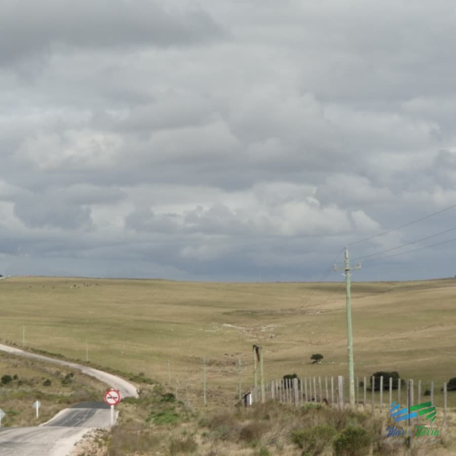 BAJO DE PRECIO...Campo sobre R.12 y a menos de 1 hora de Punta. Suelos 2.12, buenas vistas y gran potencial turístico !