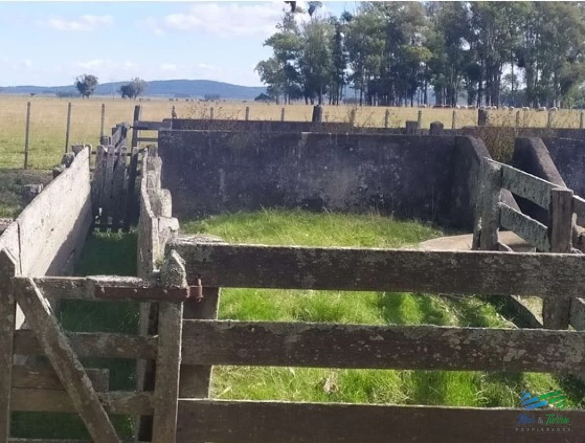 Campo Arrocero-Ganadero 1.636 Has sobre Ruta