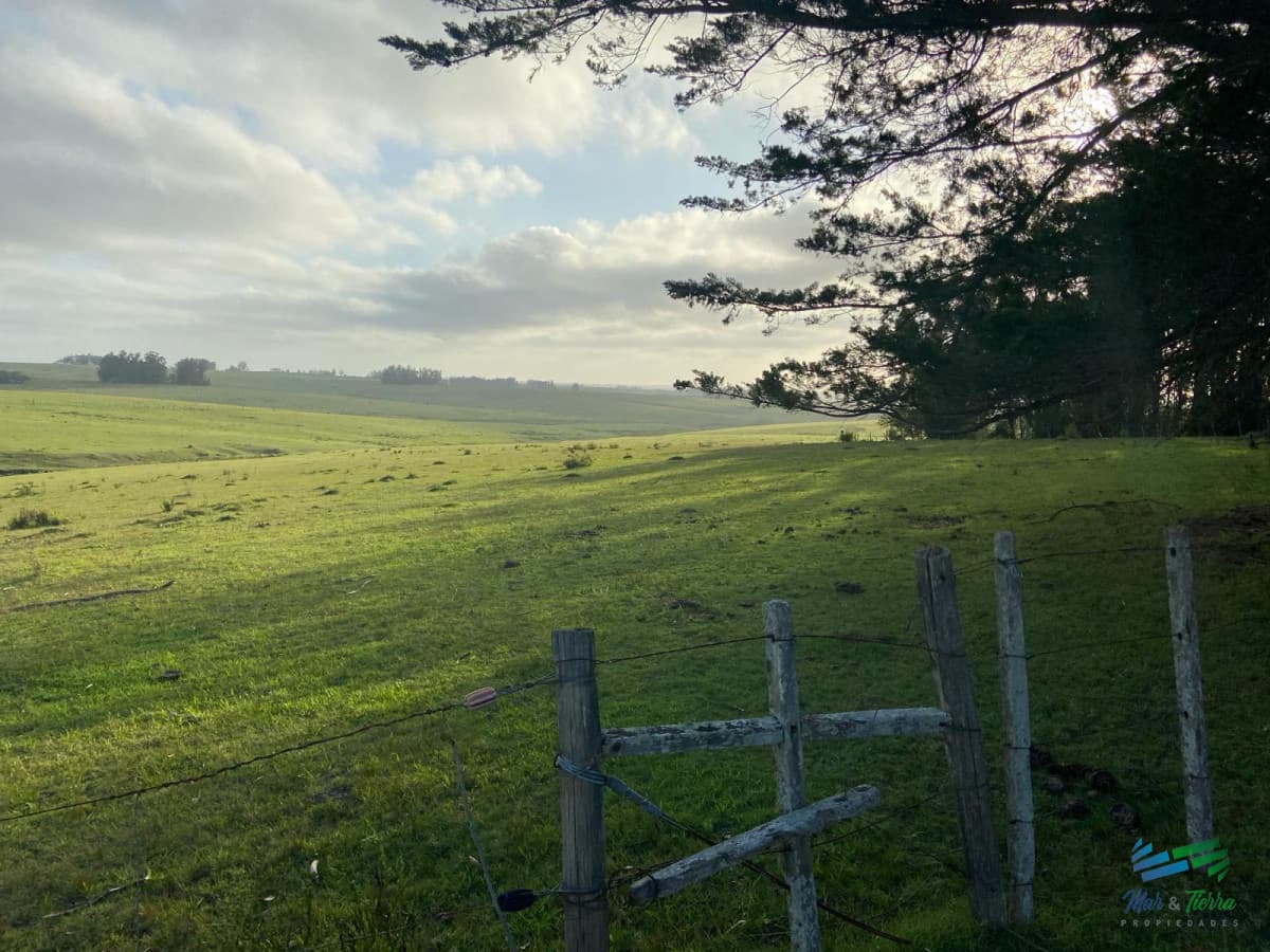 Precioso Campito de 80 Has a 15 minutos del mar y sobre asfalto, DESESTRESATE !