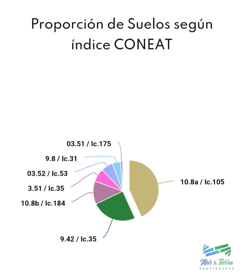 Establecimiento completo, campo mixto muy bien ubicado !