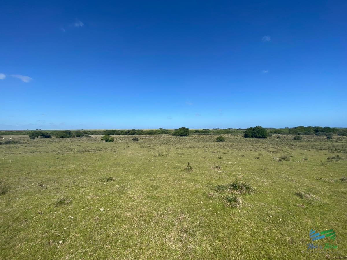Precio Rebajado ! Campaso Agrícola - Ganadero, 370 Has muy cerca de R.31