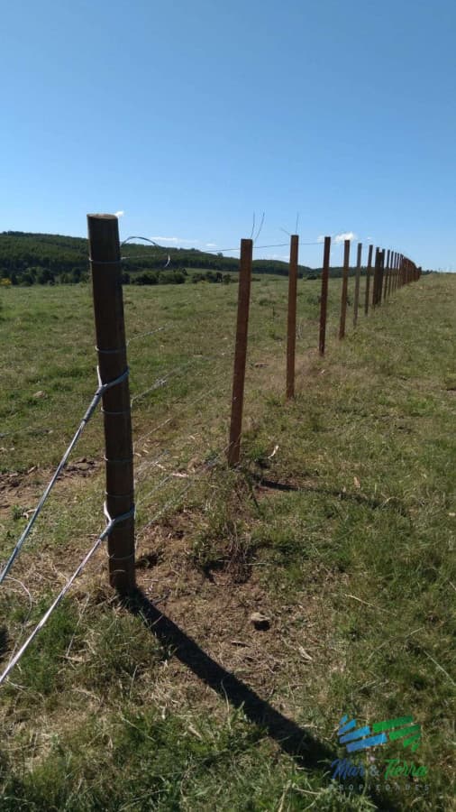 Linda fracción de campo ganadero con aptitud forestal