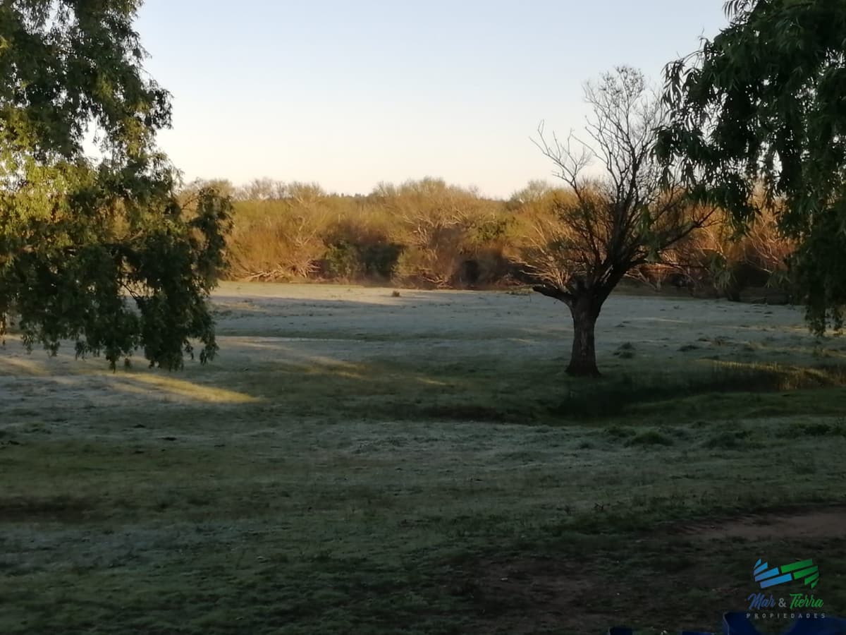 950 Has Campo Mixto Ganadero - Forestal en Durazno