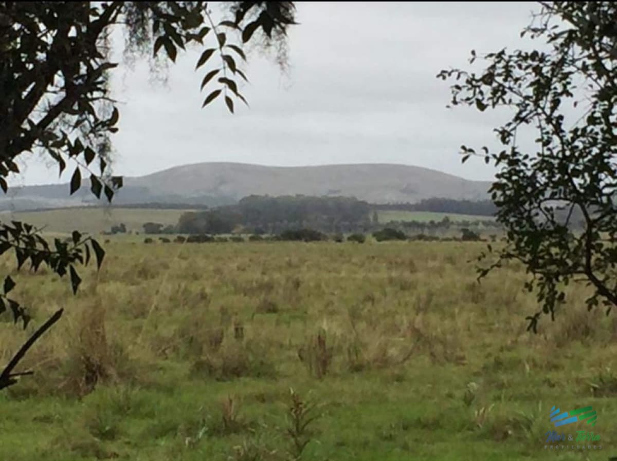 128 Has a 3 Kms de R.9 Lindo campito e invernada !
