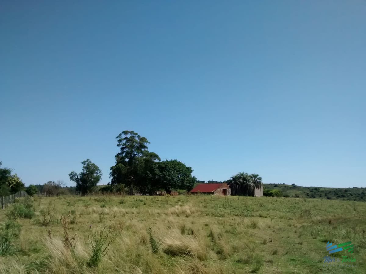 Lindo campo ganadero de 78 Has muy bien ubicado, muy pintoresco.