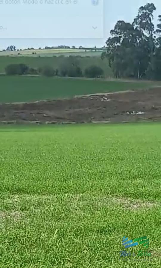 Excelente ubicación, Campo Mixto a poca distancia de Mercedes, todo hecho a  nuevo !