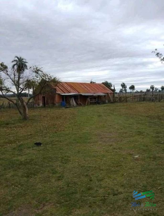 Buen campo ganadero con muy buen acceso sobre ruta