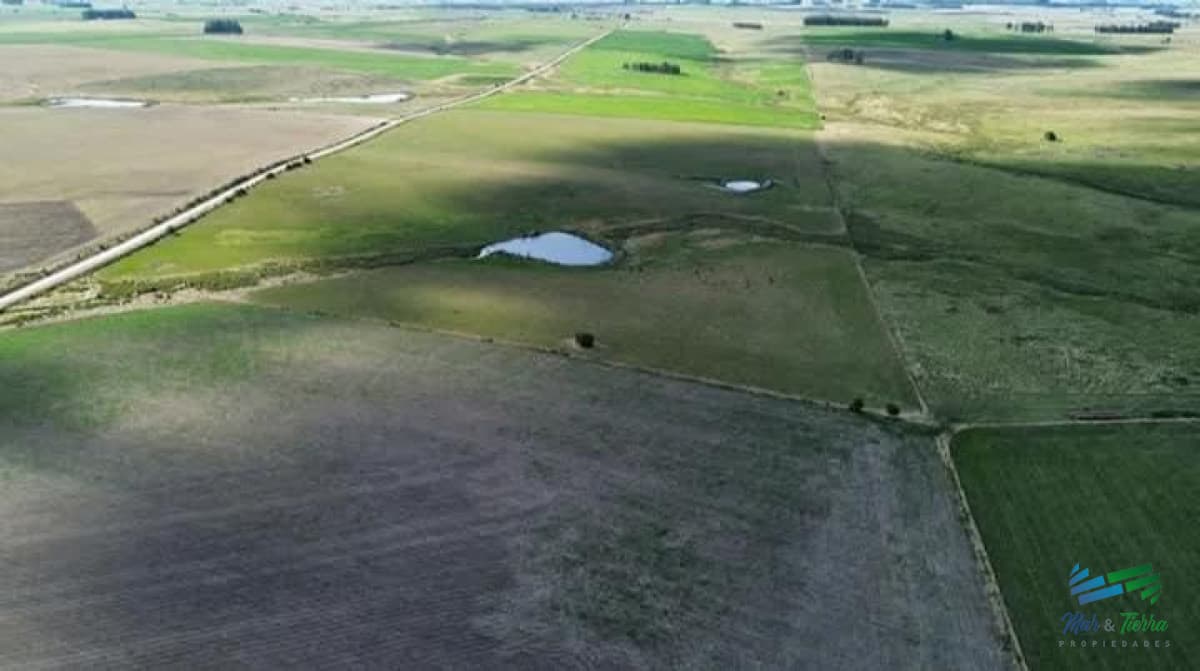 150 Has Campo Agrícola Ganadero a tan solo 10 Kms de Florida (Bajo de Precio) !