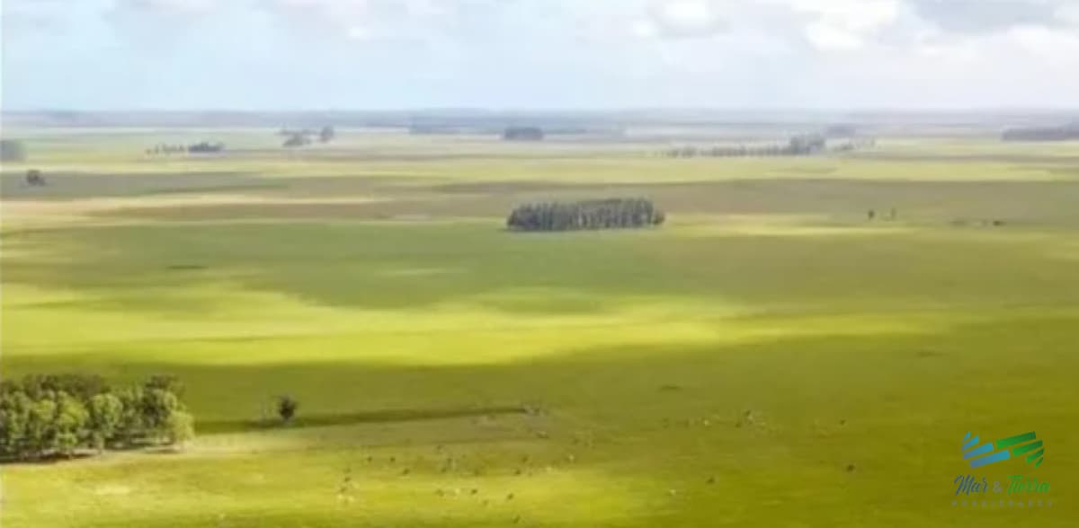 Excelente Estancia Completa Agrícola-Ganadera, sobre R.9 y Costa Laguna Castillos