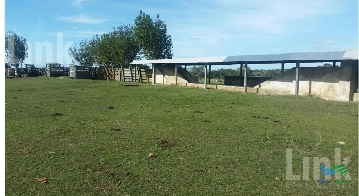 Precio Rebajado - Estancia 3.000 Has en 33 Ganadero-Forestal