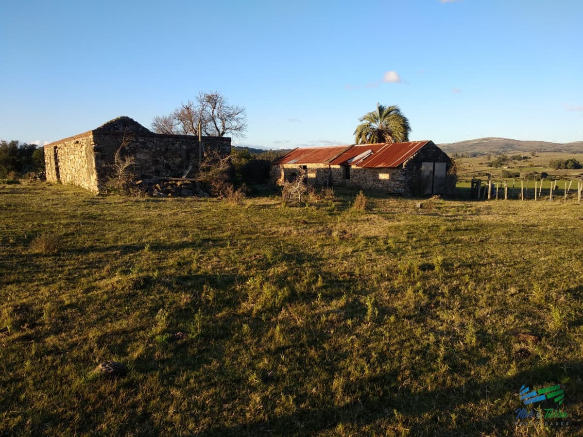 82 Has Cerca de Pueblo Edén y R.12
