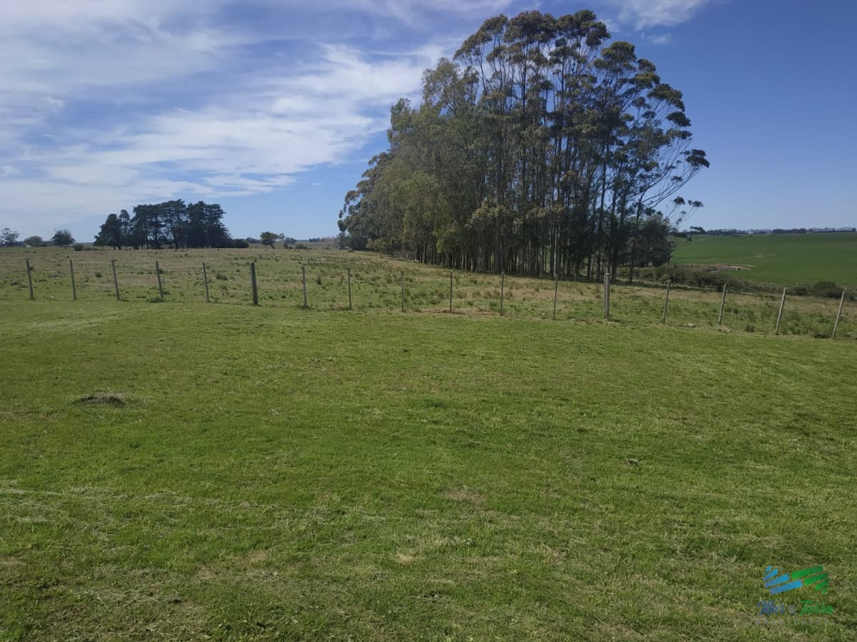 Muy linda fracción de 138 Has en Las Garzas