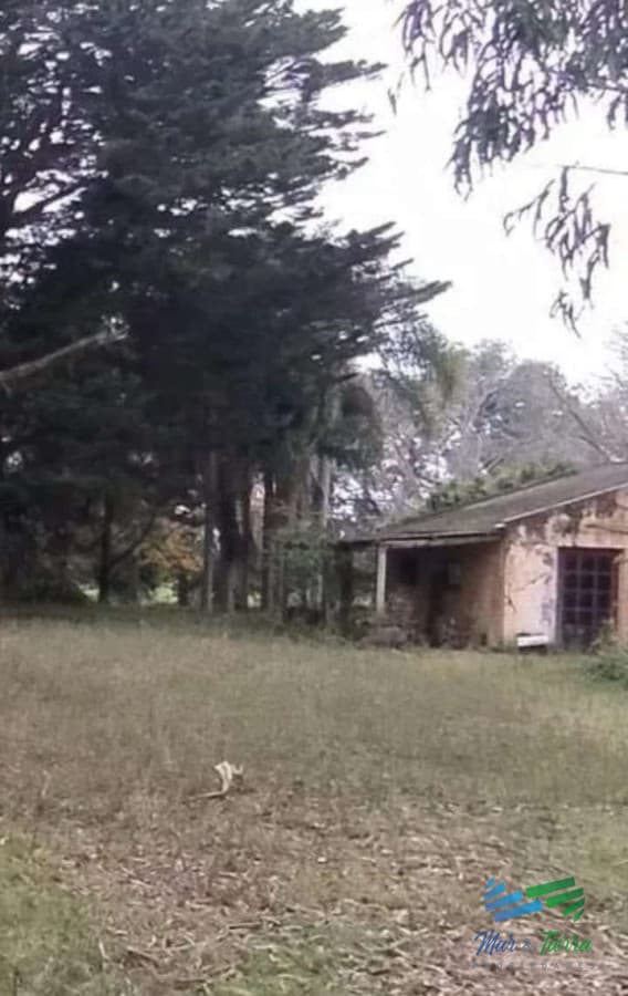 445 Has Campo Ganadero