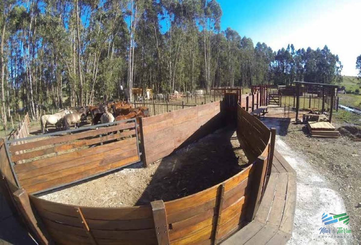Espectacular Campo con todas las comodidades y mas, a 1 hora de Mdeo !
