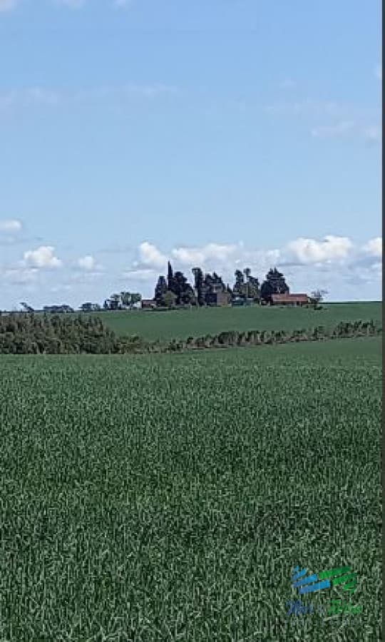 Excelente ubicación, Campo Mixto a poca distancia de Mercedes, todo hecho a  nuevo !