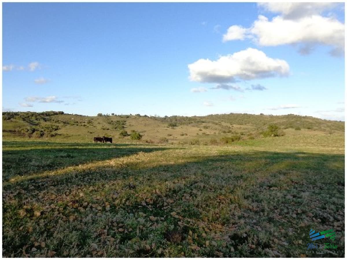 Pintoresco campo Ganadero muy bien ubicado.