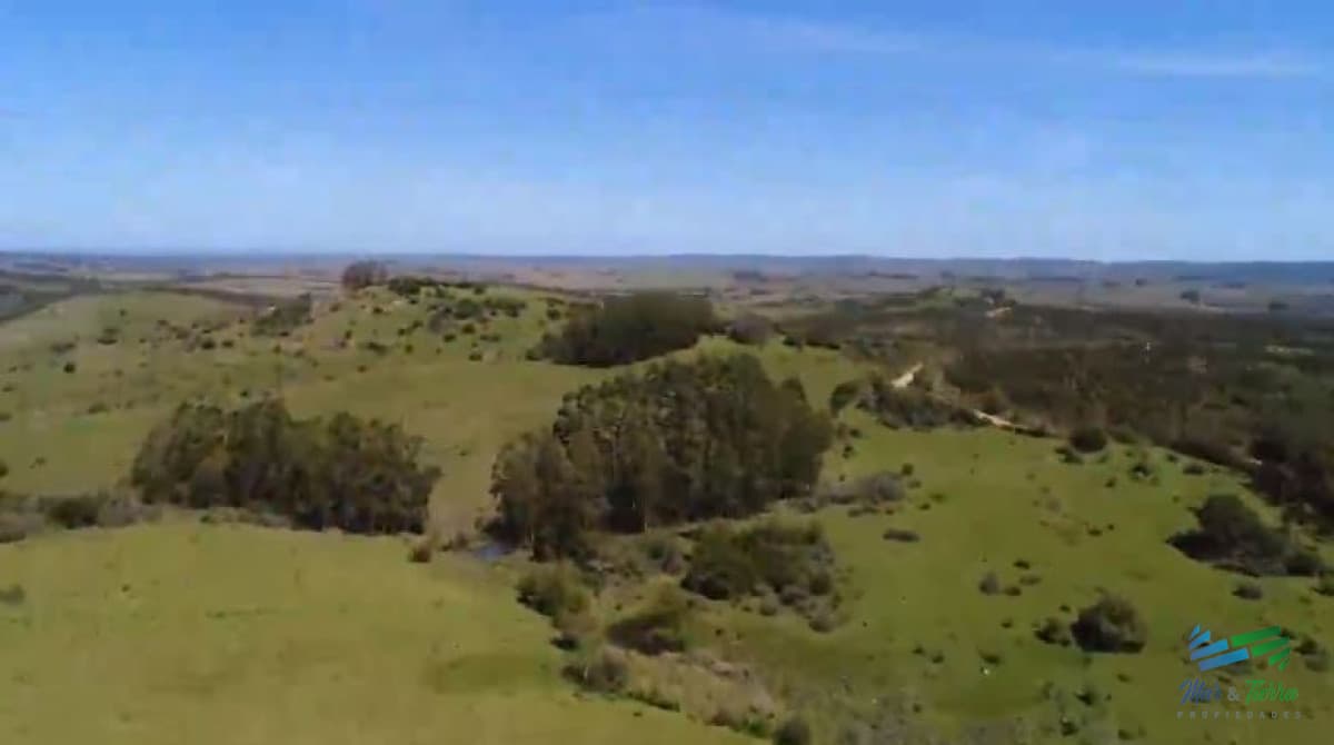 Campo Ganadero y Recreo en Garzón 116 Has con casa