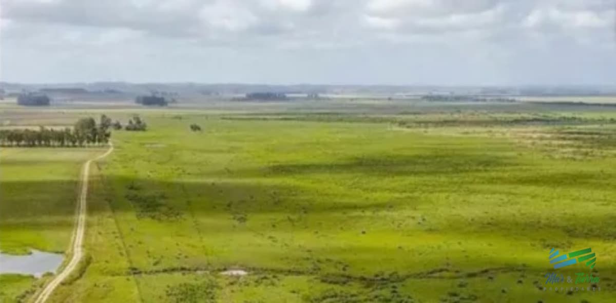 Excelente Estancia Completa Agrícola-Ganadera, sobre R.9 y Costa Laguna Castillos