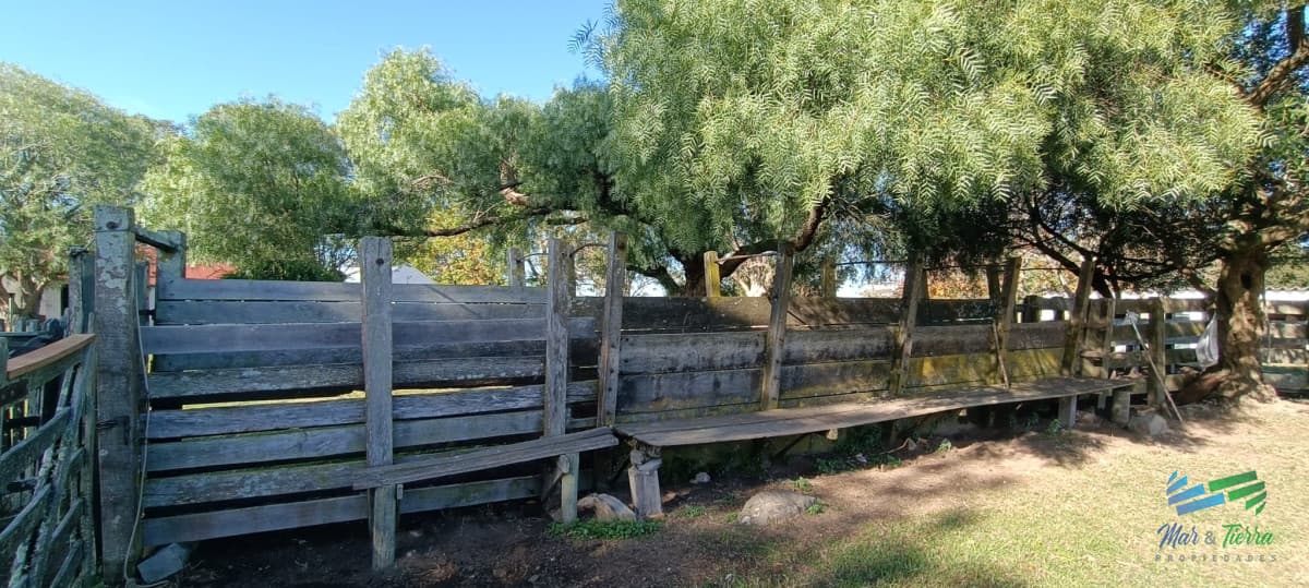 Muy buen campo mixto Ganadero-Forestal de 690 Has y bien ubicado