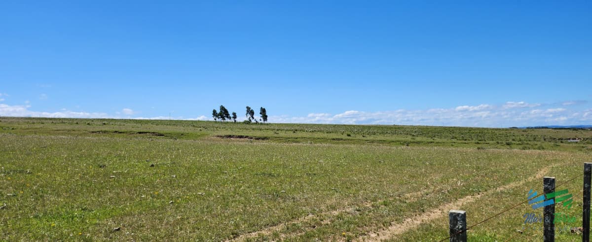 125 Has sobre R.9 muy bien campo Agricola-Ganadero