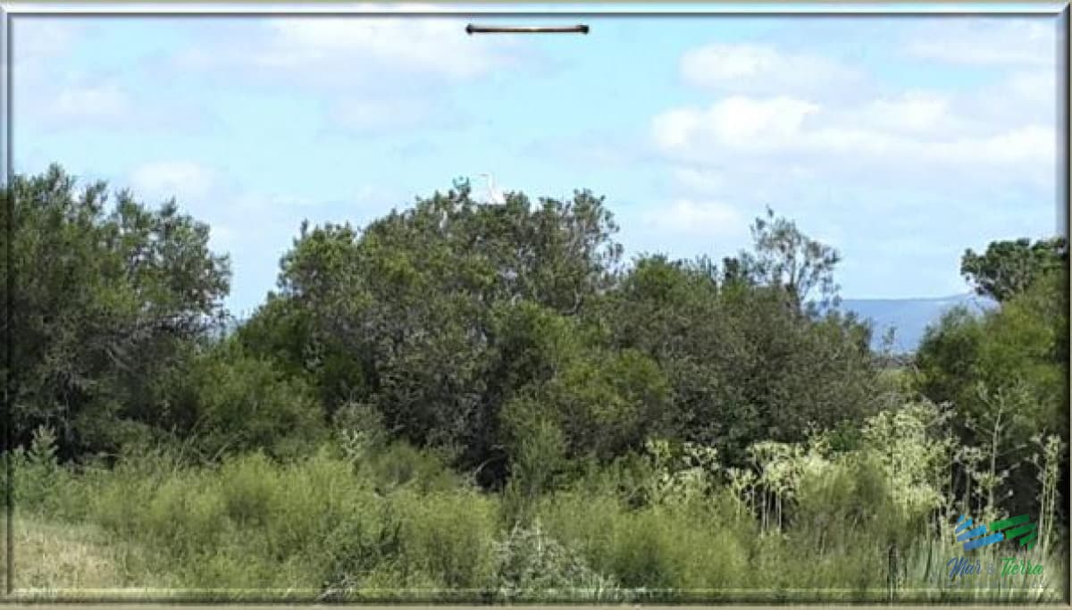 370 Has ganaderas, muy cerca de Punta, arroyo y monte nativo. Excelente ubicación !