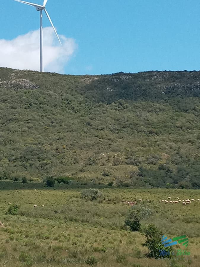 Lindo campo 63 has en las Sierras de Carape, muy buenas vistas