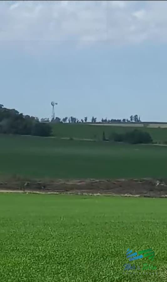 Excelente ubicación, Campo Mixto a poca distancia de Mercedes, todo hecho a  nuevo !