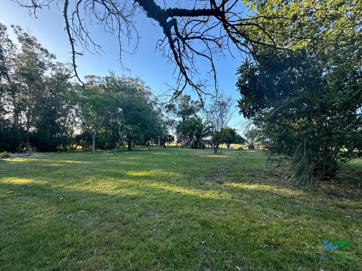 Precioso Campito de 80 Has a 15 minutos del mar y sobre asfalto, DESESTRESATE !