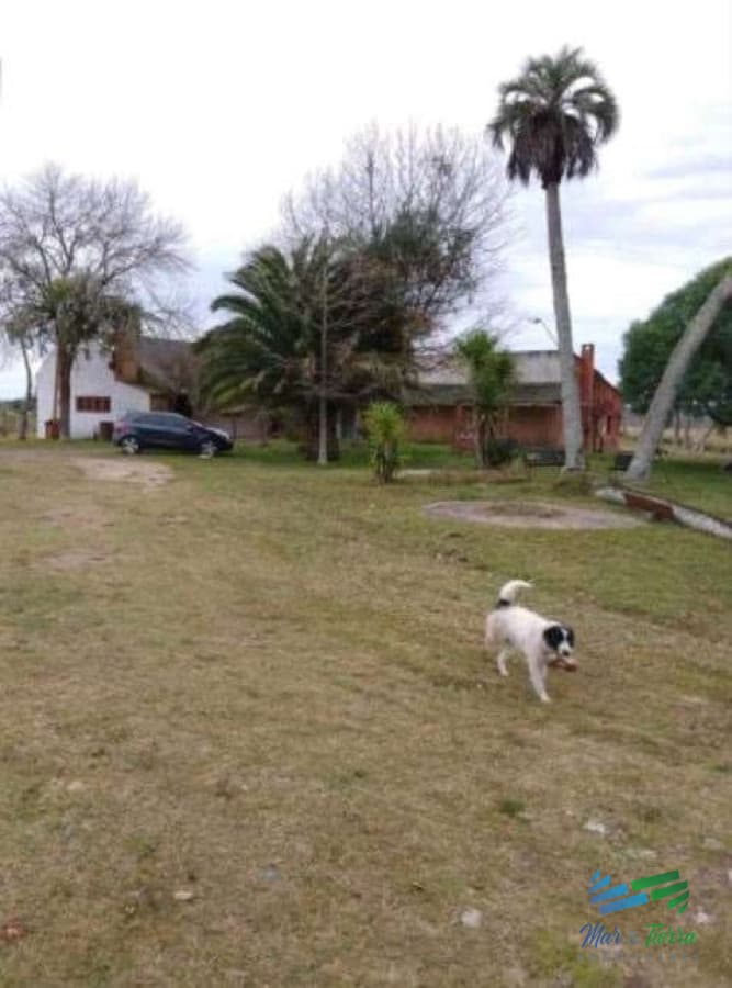 Buen campo ganadero con muy buen acceso sobre ruta