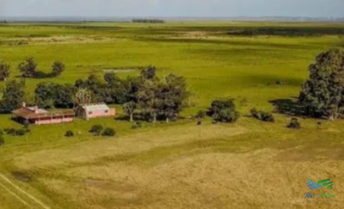 Excelente Estancia Completa Agrícola-Ganadera, sobre R.9 y Costa Laguna Castillos